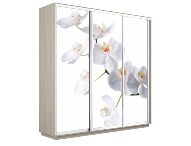 Шкаф-купе Экспресс 3-х дверный (Фото №1025 Орхидея белая), Ясень Шимо светлый